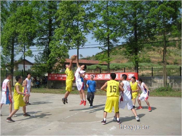 點(diǎn)擊查看放大圖