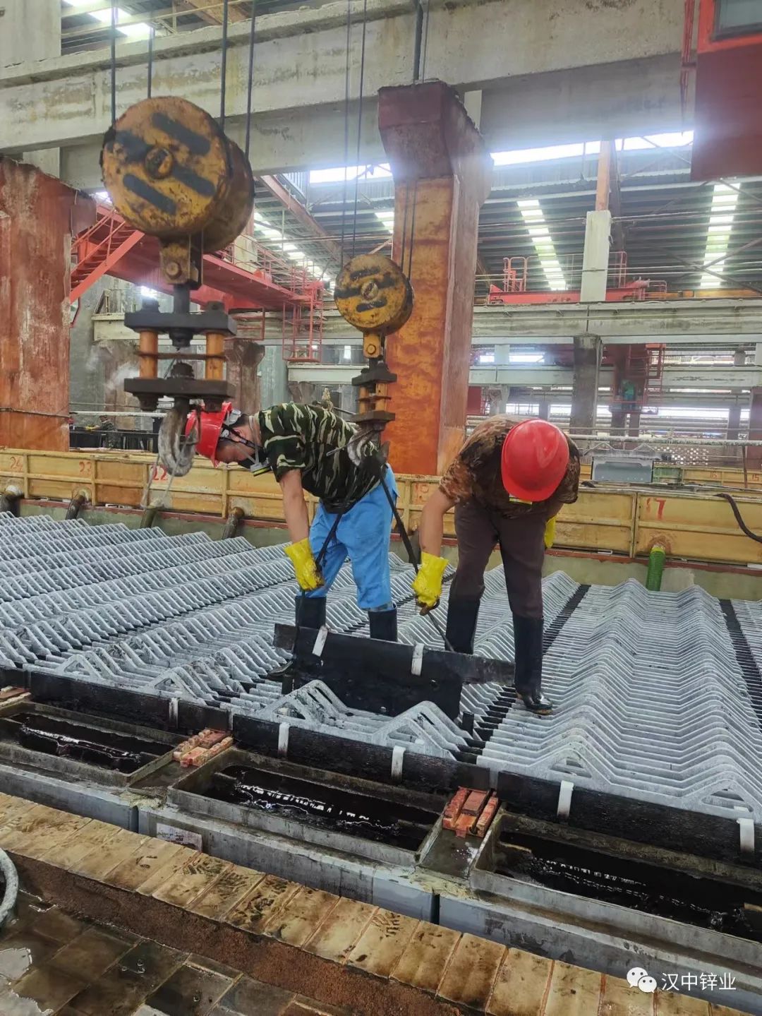 1658298781860785.jpg 22.jpg