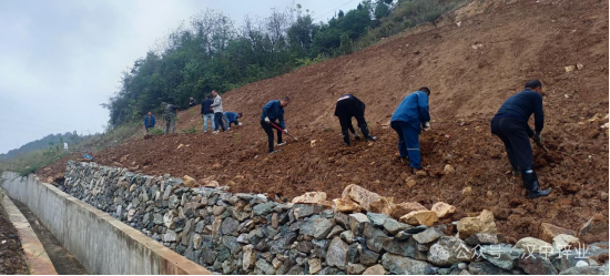 1729063275996394.png 002.png